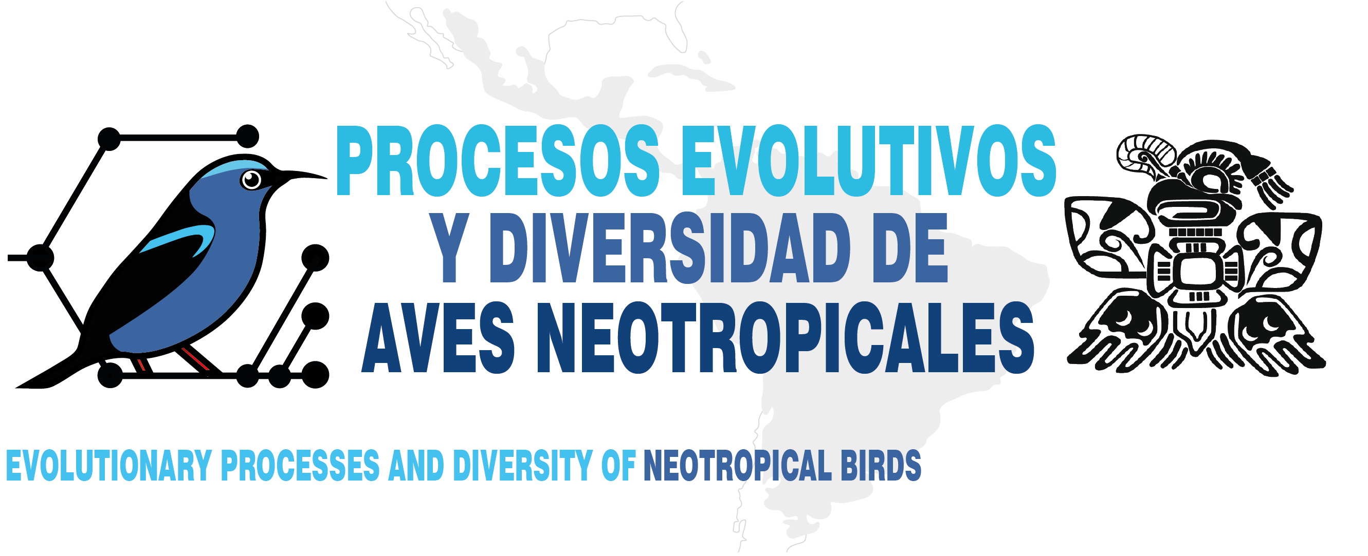 Proyecto 2