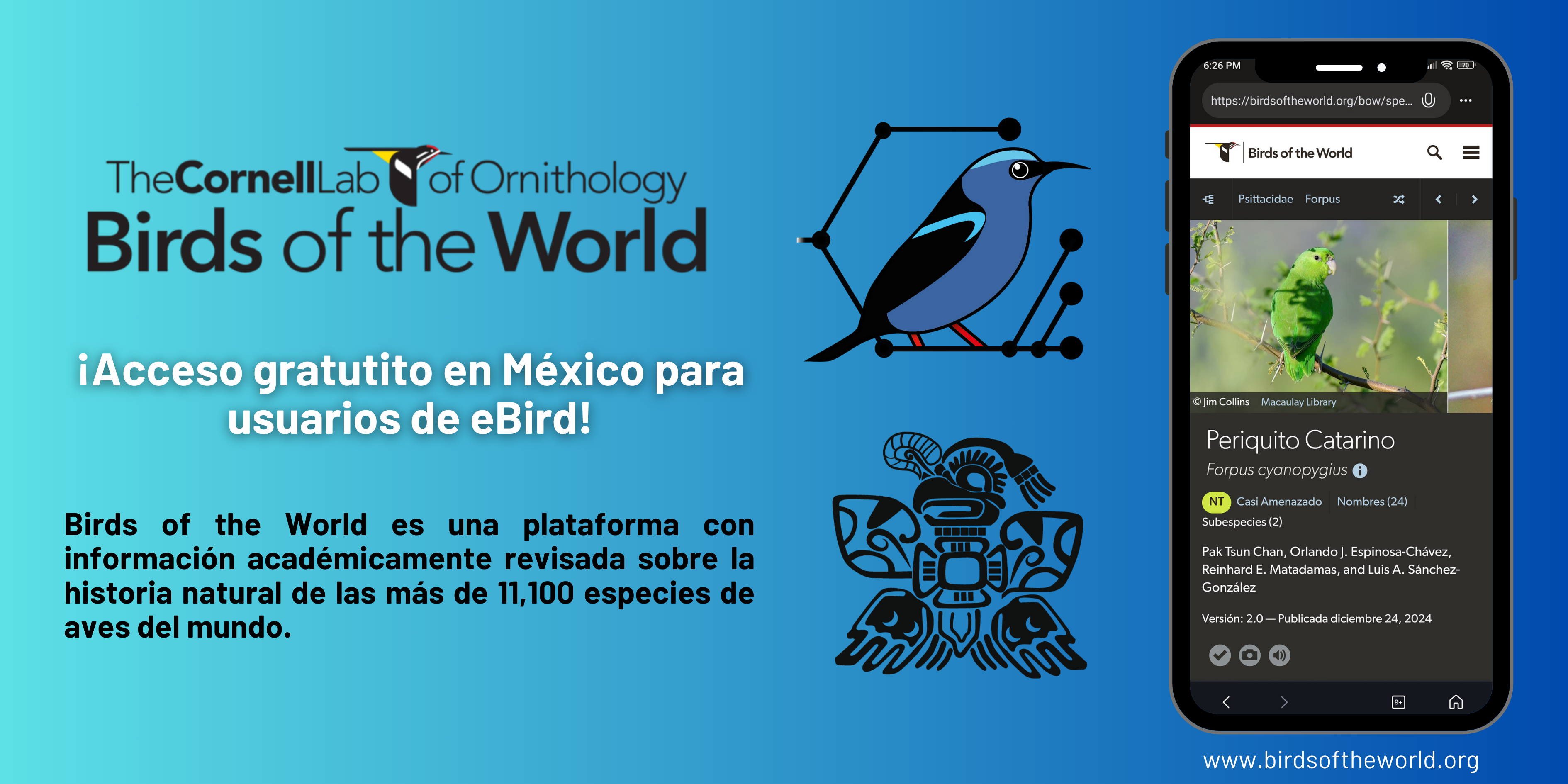 Proyecto 1